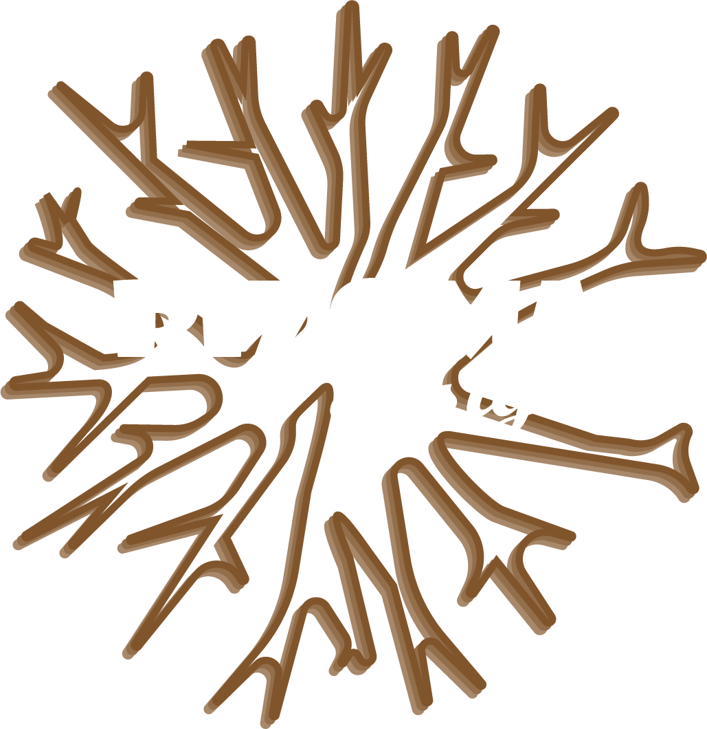 Agencia Diseño – Diseño Web – Diseño Comercial – Rizoma Design